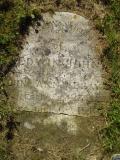 image of grave number 313168